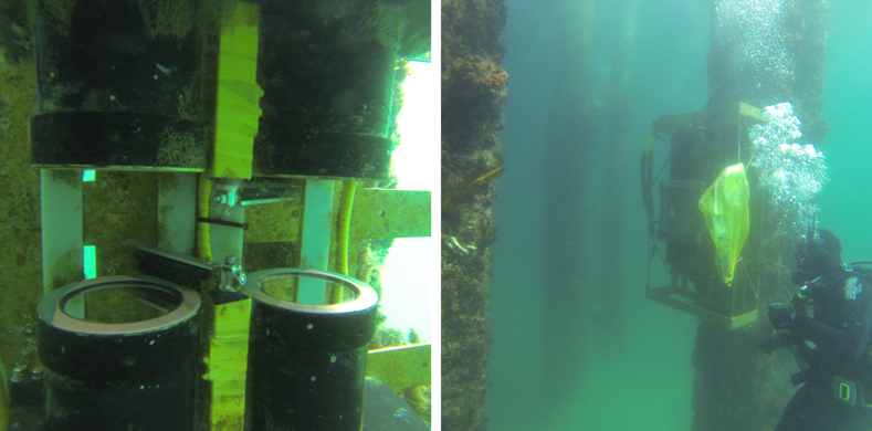 Camera Cultures: Technosocial Theaters of the Photographic Event